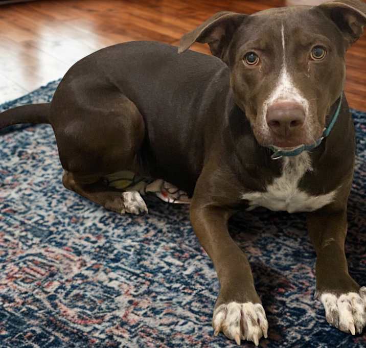 Photo of Axel