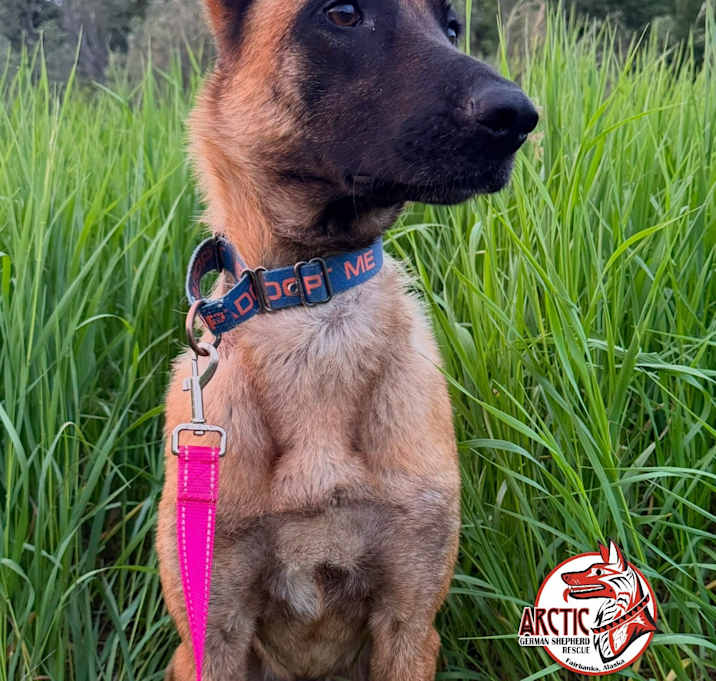 Photo of Zyva