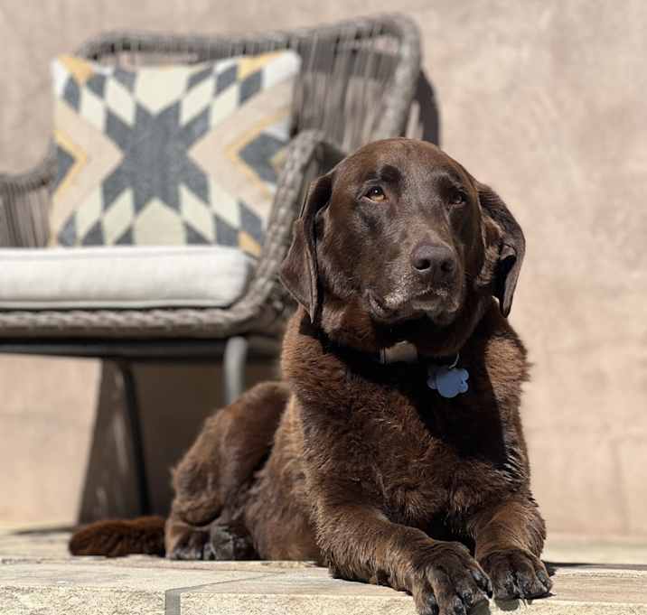 Photo of Mika