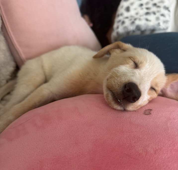 Photo of Winnie