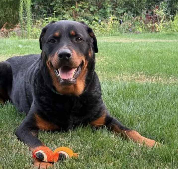 Photo of Maverick