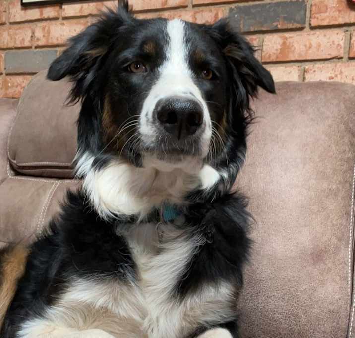 Photo of Blue
