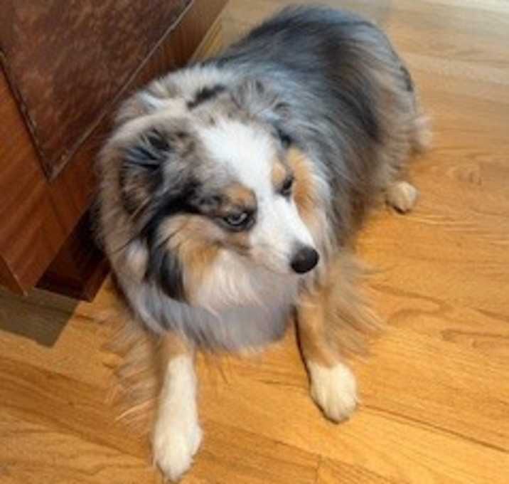 Photo of George