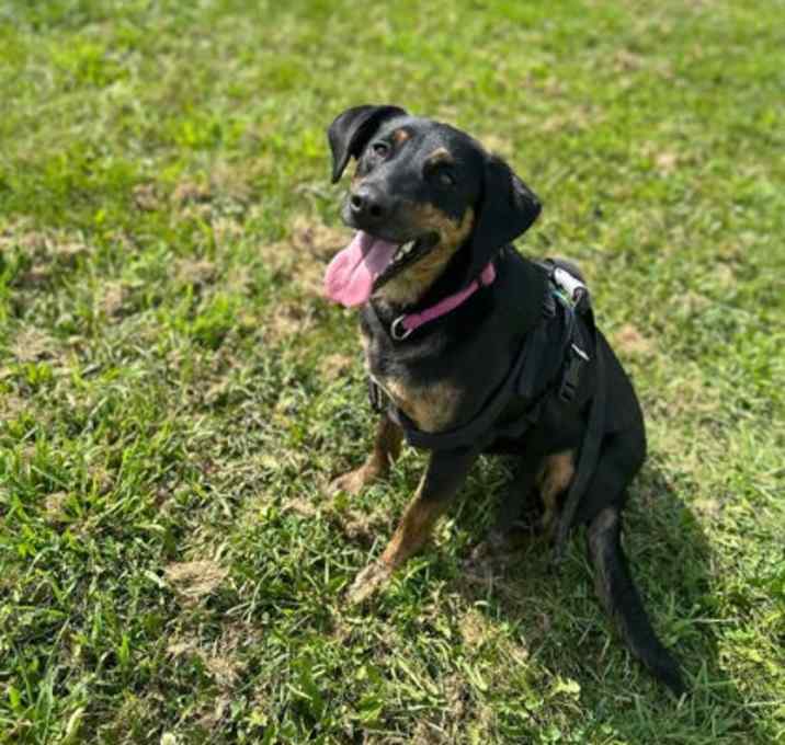 Photo of Bonnie