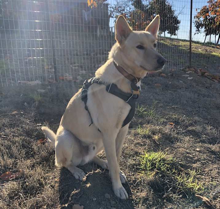 Photo of Benny