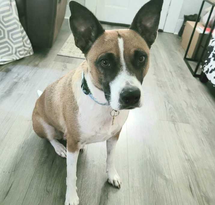 Photo of Mamas