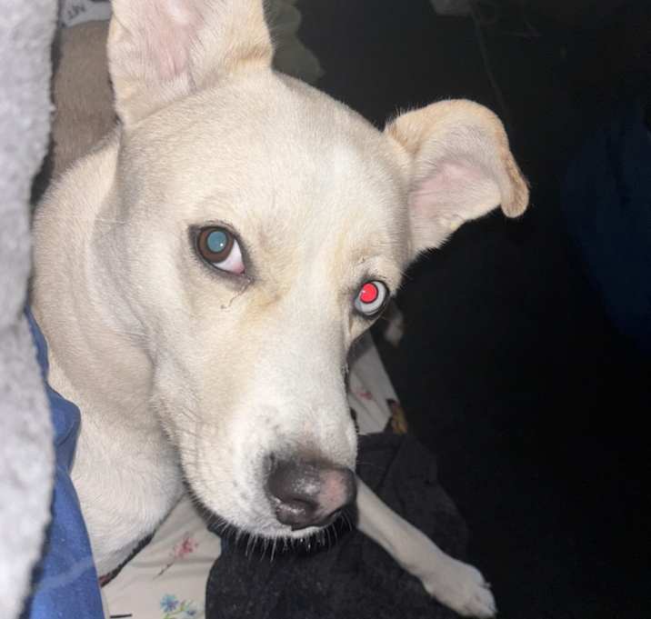 Photo of Buffy