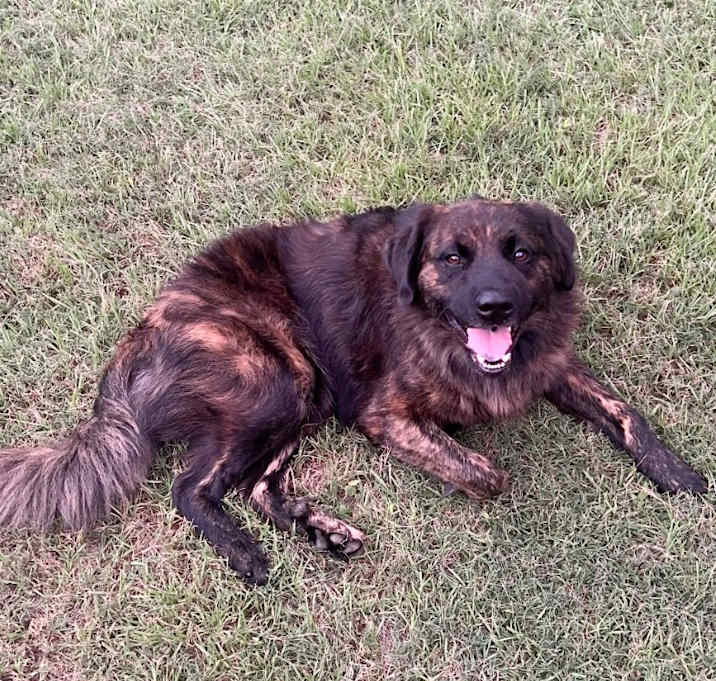 Photo of Big Boy