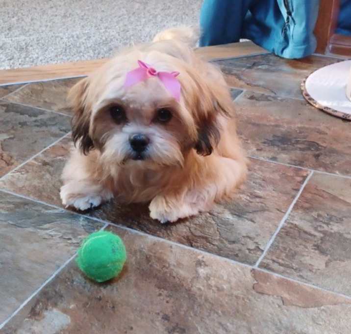 Photo of ALFIE