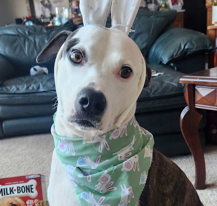 Photo of Piper Jo