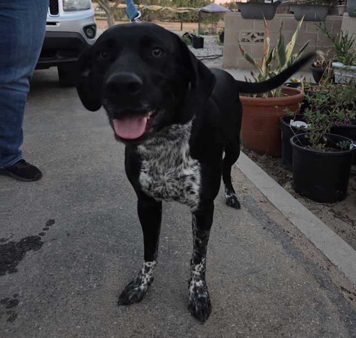 Photo of Ada