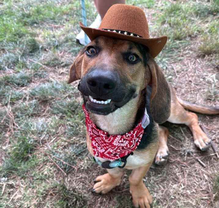Photo of Frankie