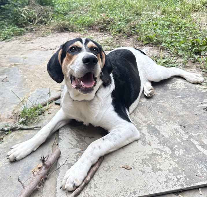 Photo of Freckles