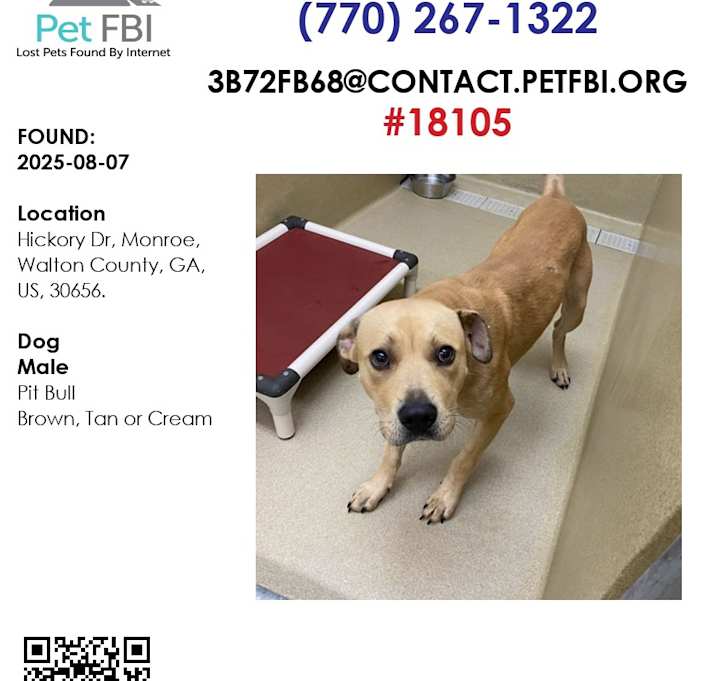 Photo of Simba #18105