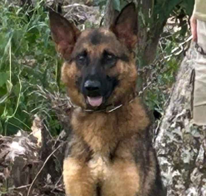 Photo of Storm