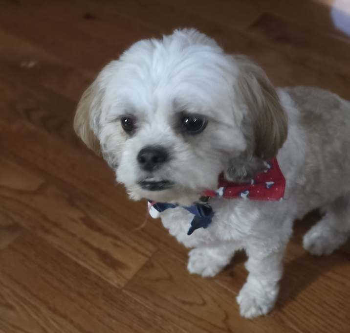 Photo of Melo
