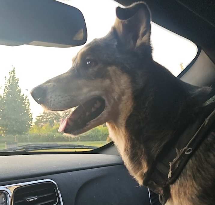 Photo of Cooper