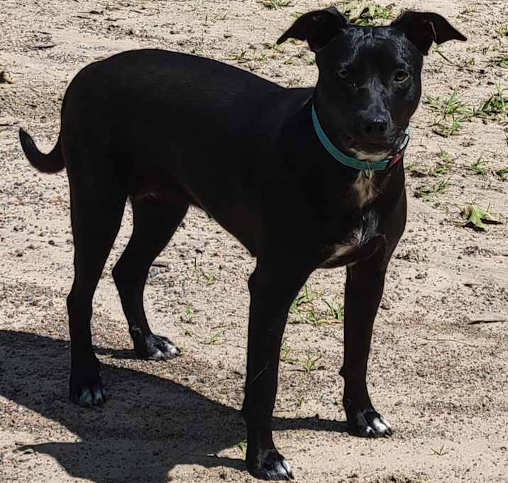 Photo of Roo