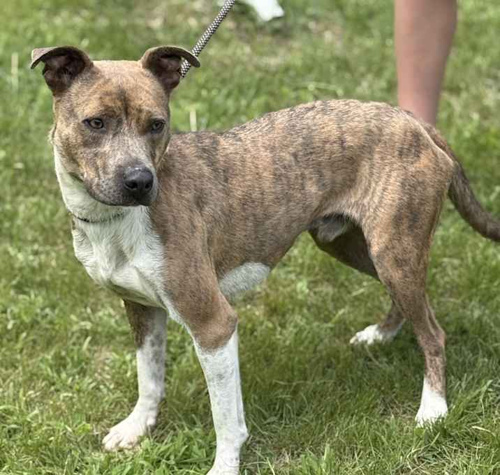 Photo of Buster