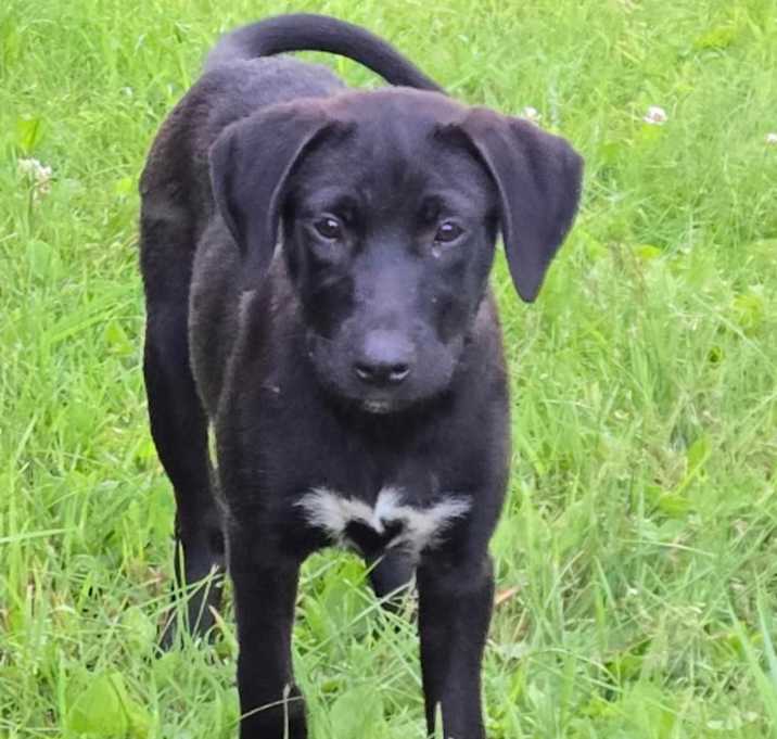 Photo of Dora