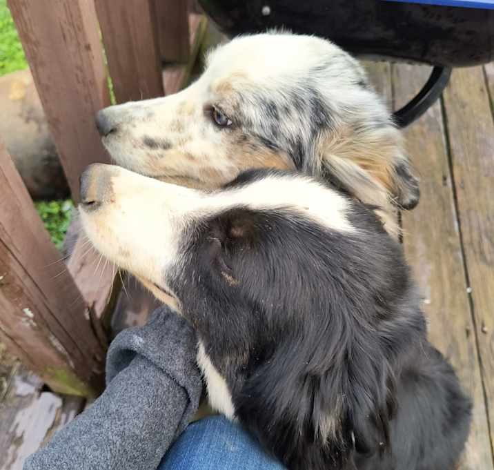 Photo of Bear an Bama