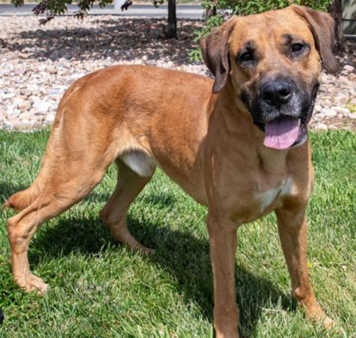 Photo of 90079 Justin