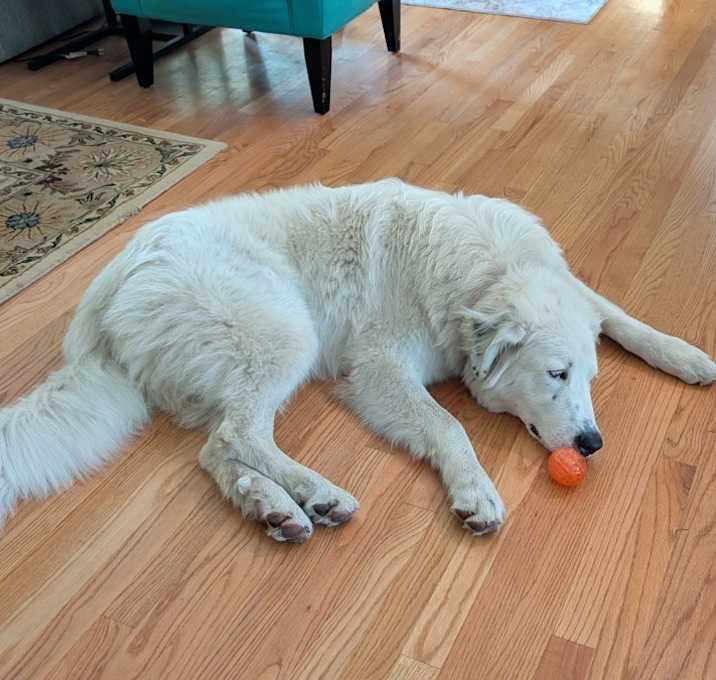 Photo of Winnie