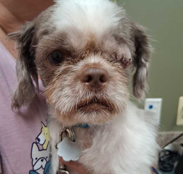 Photo of Munchkin