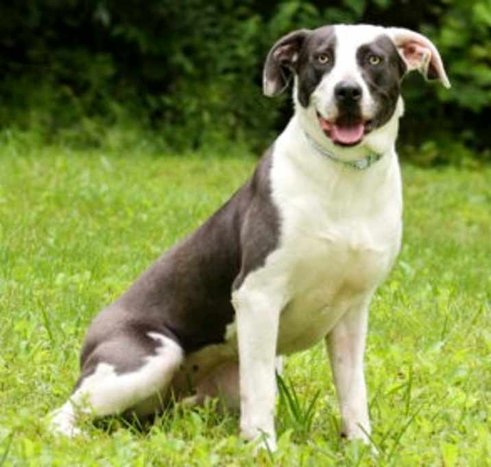 Photo of Wiggles