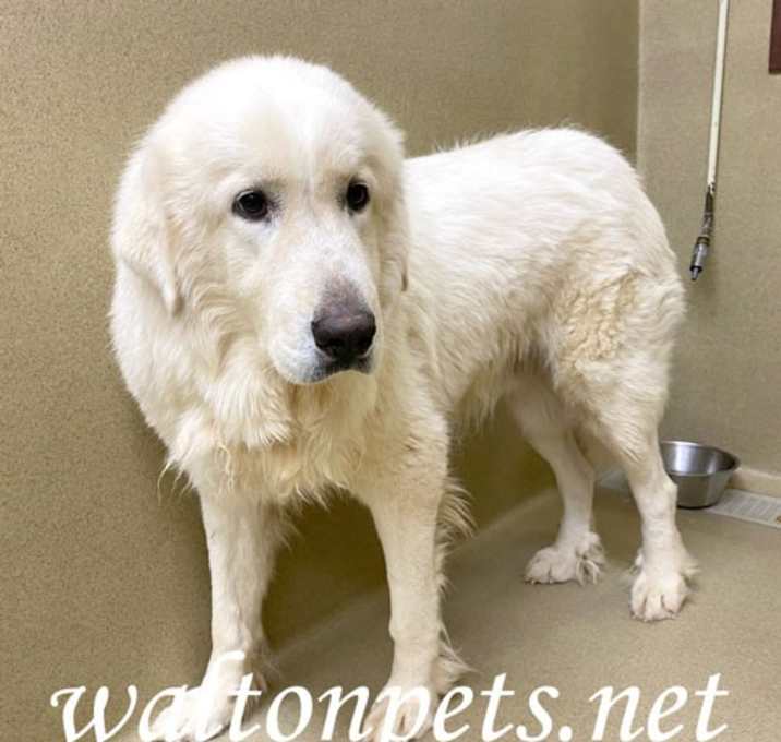 Photo of Wyatt #20103