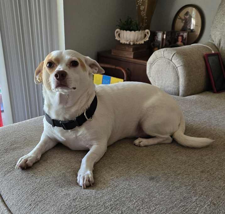 Photo of Buddy