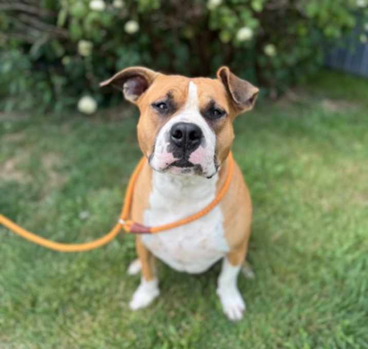 Photo of Chi Chi