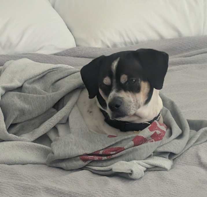 Photo of Bruce Wayne