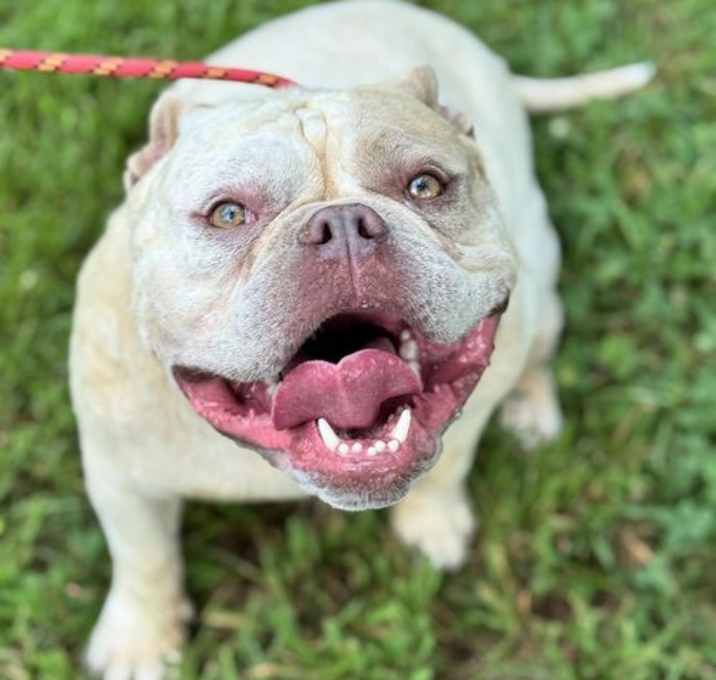 Photo of Zeus