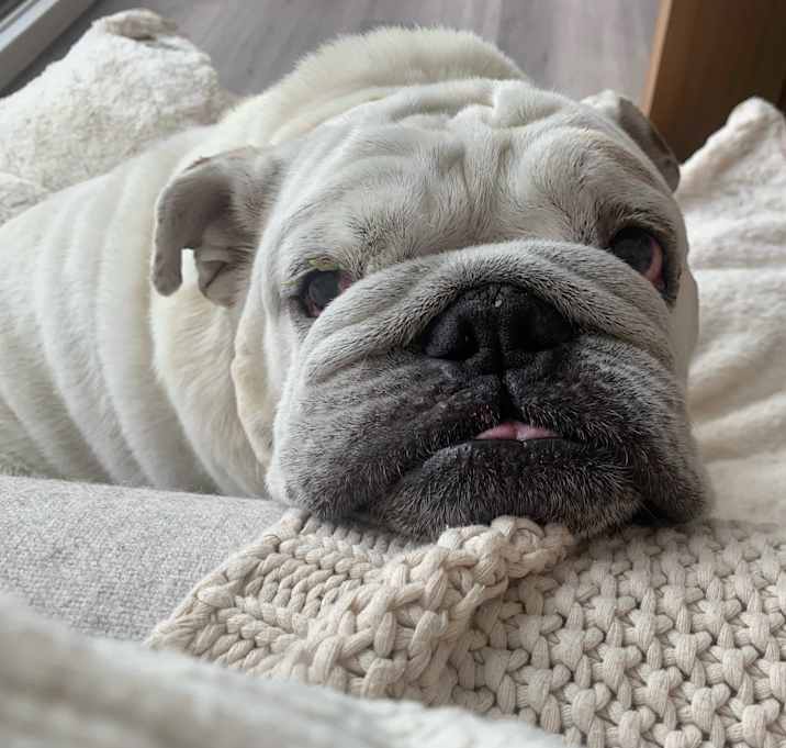 Photo of Hercules
