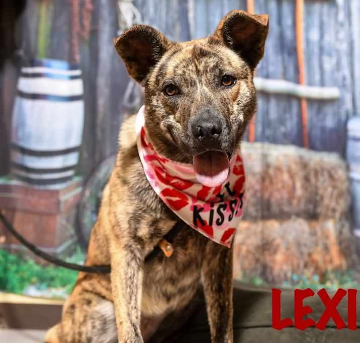 Photo of Lexi