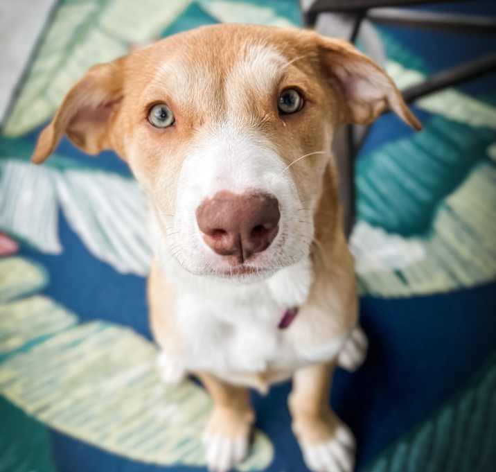 Photo of Lucy