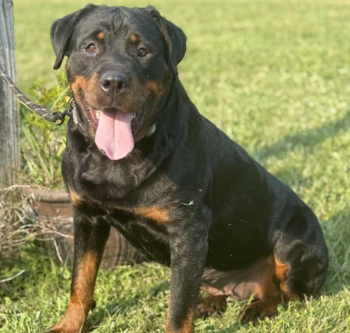 Photo of Aspen