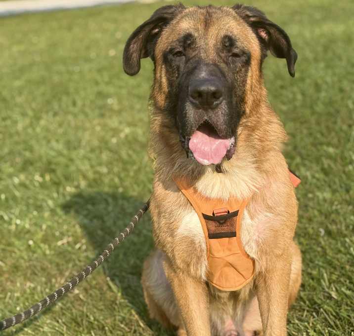 Photo of Reuben