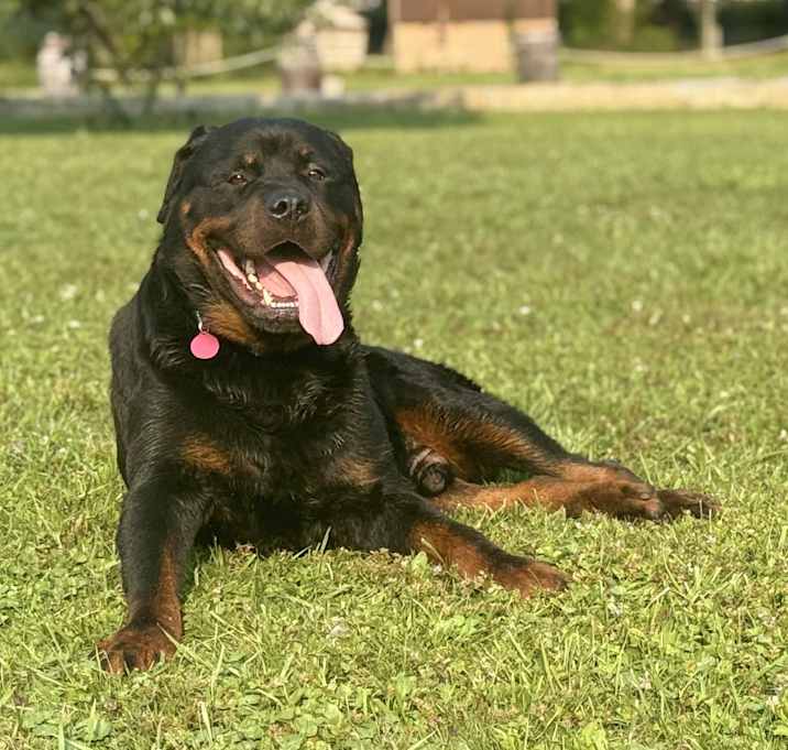 Photo of atlas