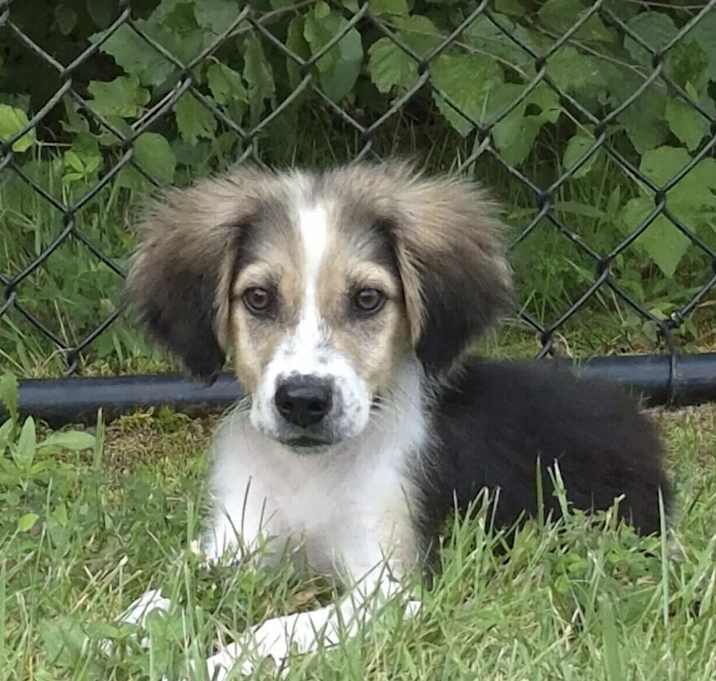 Photo of Baby Lil Buddy