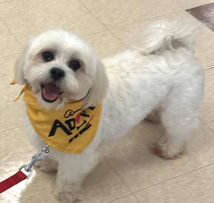 Photo of Ralphie