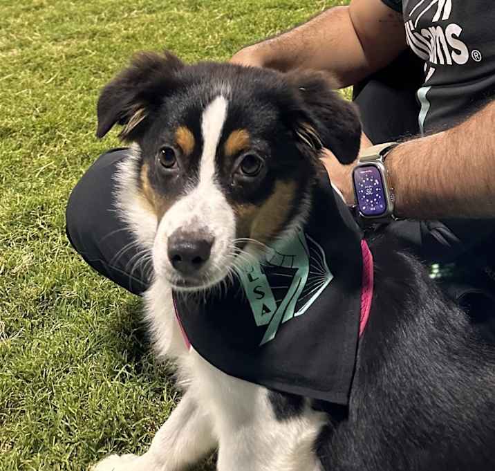 Photo of Kira