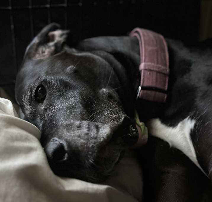 Photo of Margo