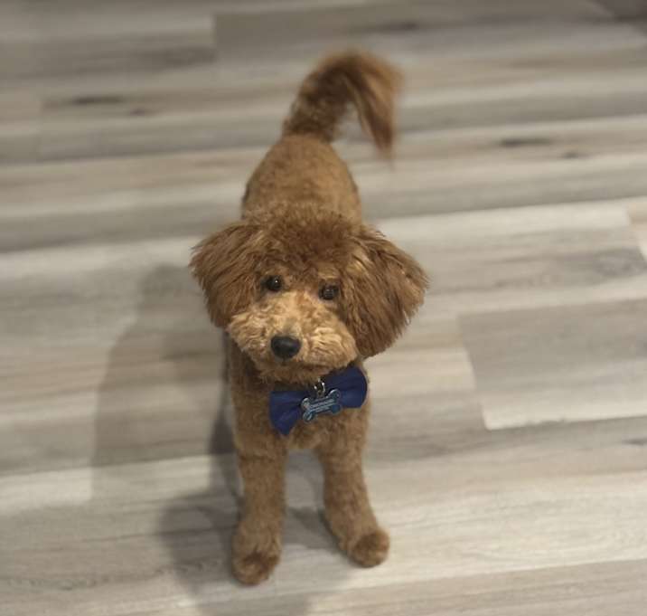 Photo of Leo