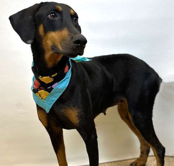 Photo of Thelma