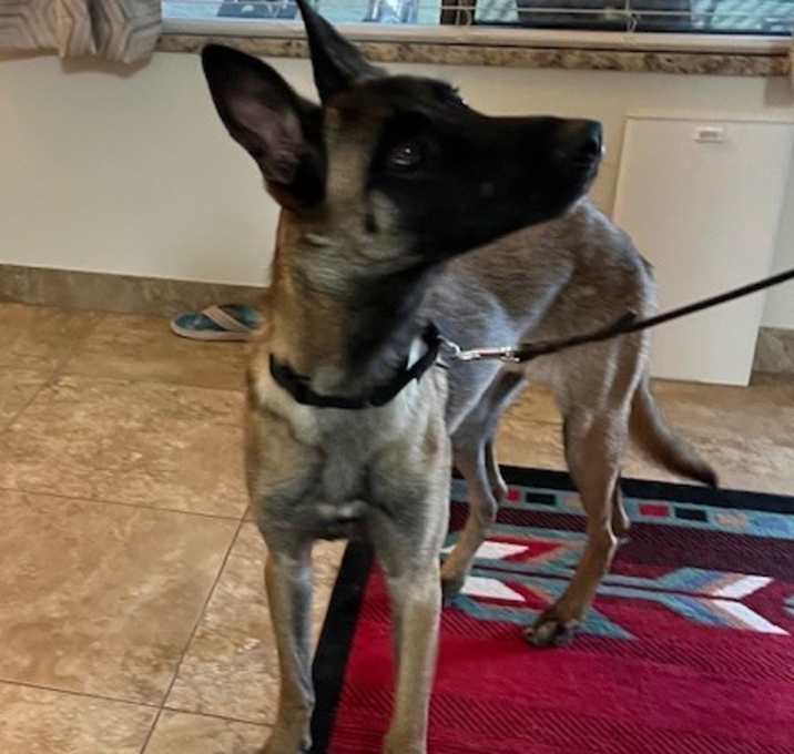 Photo of Ellie