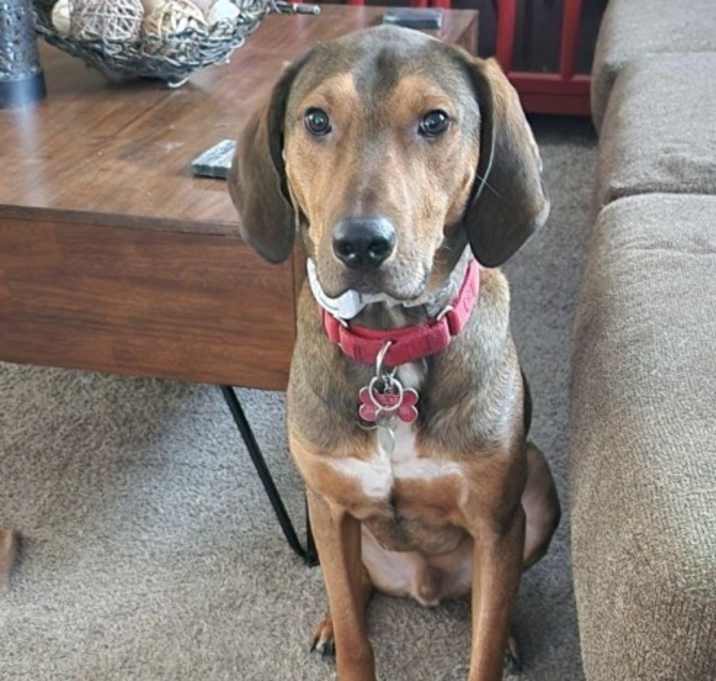 Photo of Wilbur