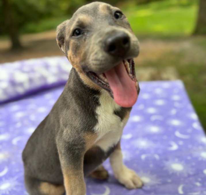Photo of Lefty
