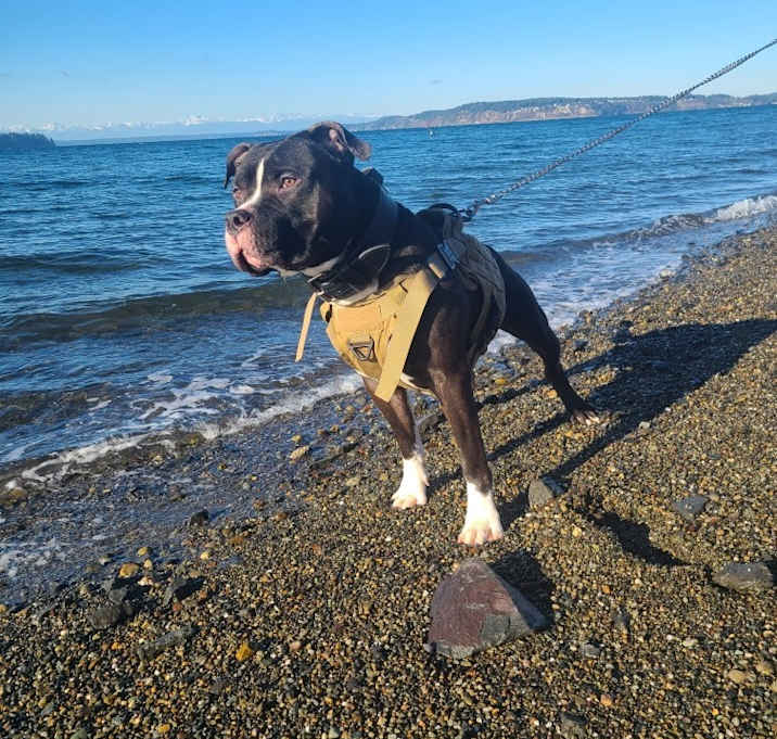 Photo of Spooky